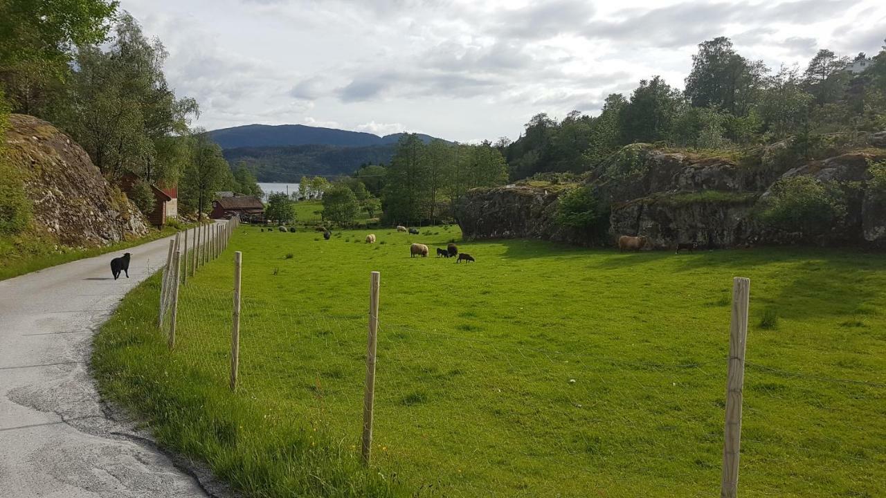 Molvik Hytten Villa Ostereidet Exterior photo